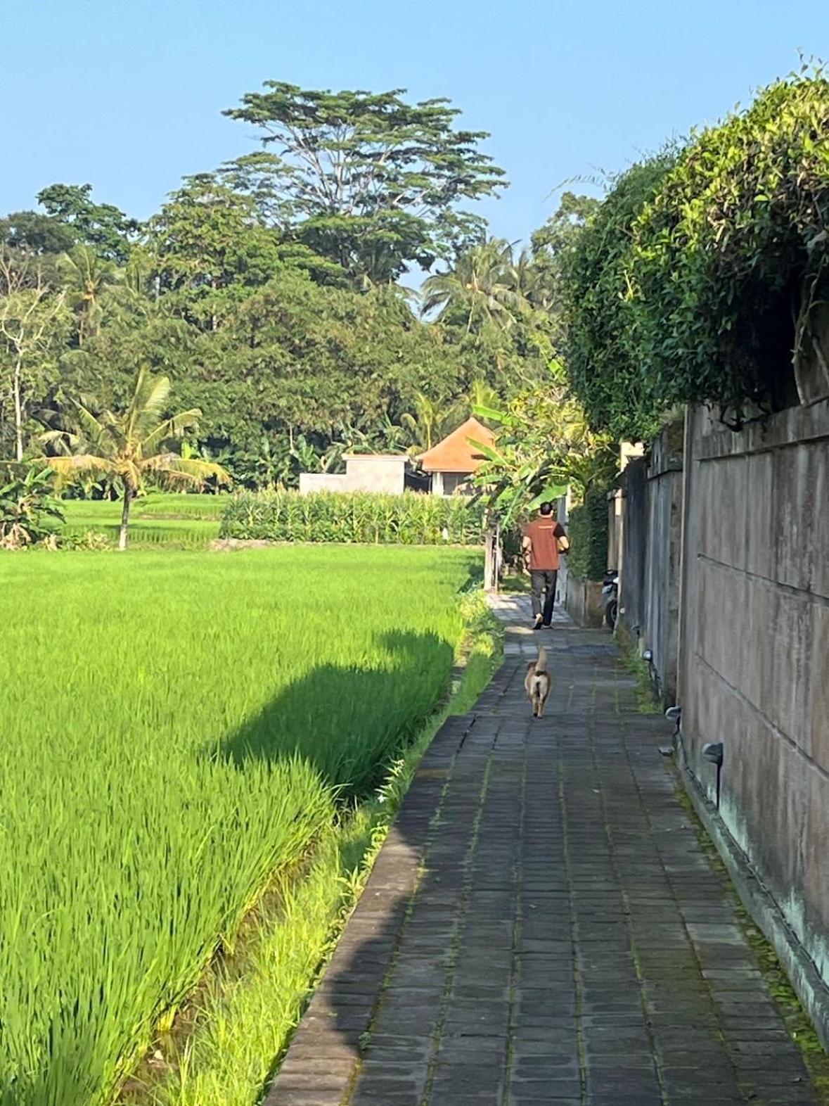 Uma Padi Villa Ubud Exterior foto